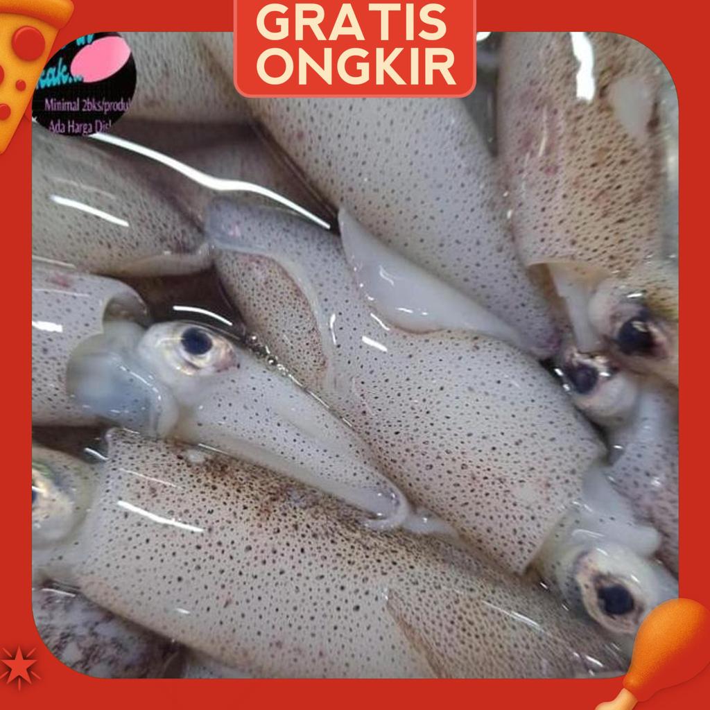 Cumi Tinta Hitam Sedang Segar Fresh 1 Kg