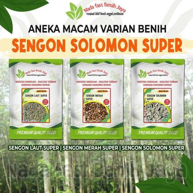 Aneka macam varian benih sengon solomon super asli / benih sengon laut super dan bibit benih sengon