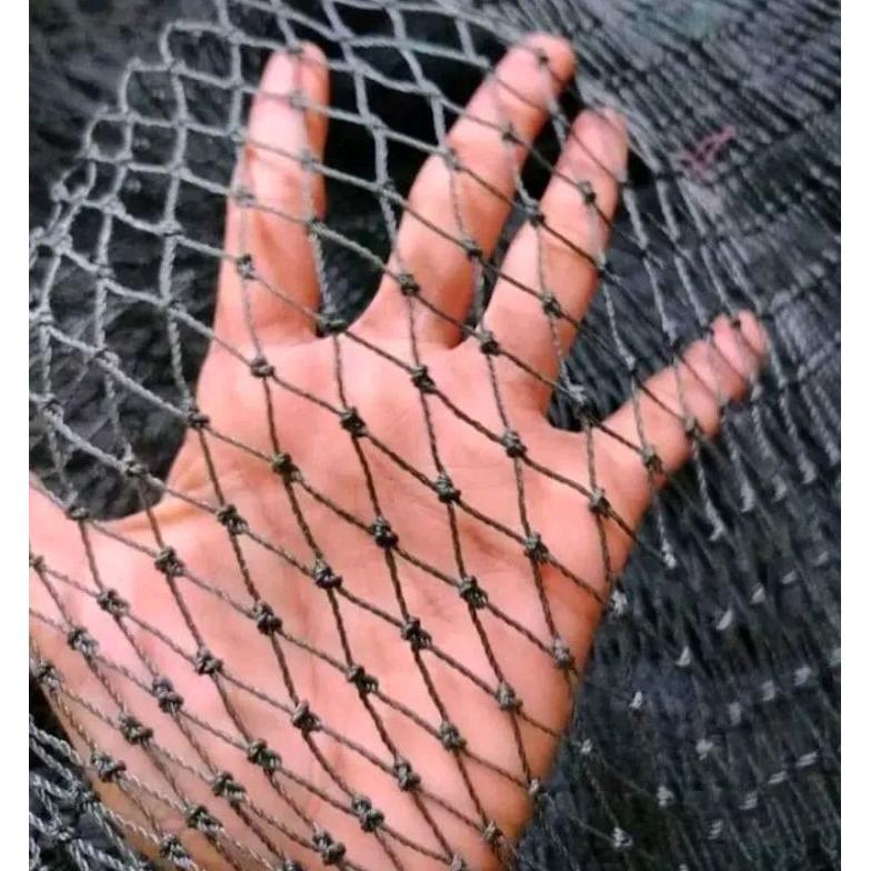 Bisa Cod Jaring Pagar Ayam Lubang 1Cm ><