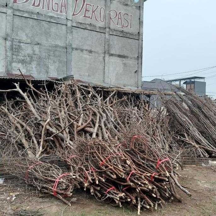 Rangkaian ranting  pohon/ ranting pohon tinggi 2 meter/ranting pohon hias