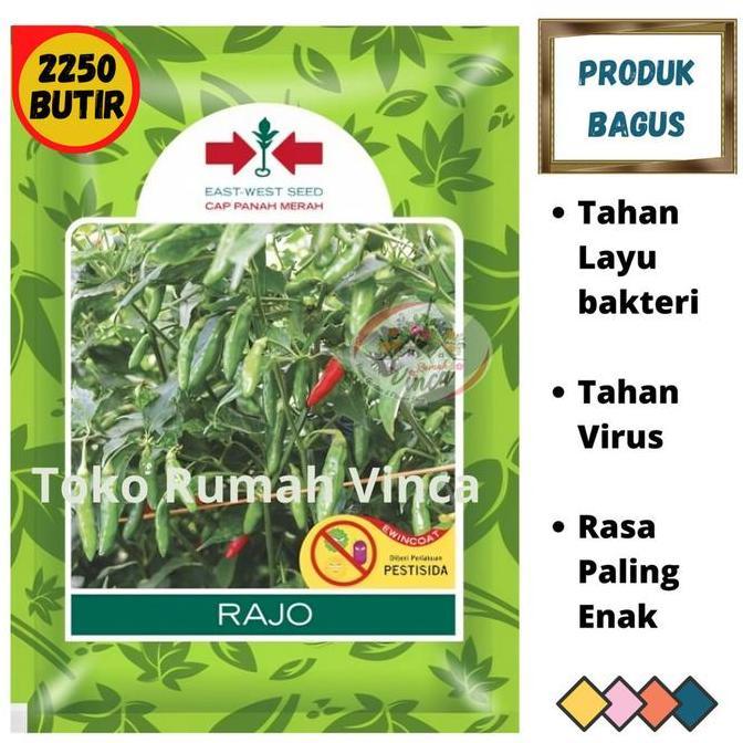 Benih Bibit Biji Tanaman Cabe Rawit Hijau RAJO 2250 Butir dari Cap Panah Merah Cabe Rawit Setan