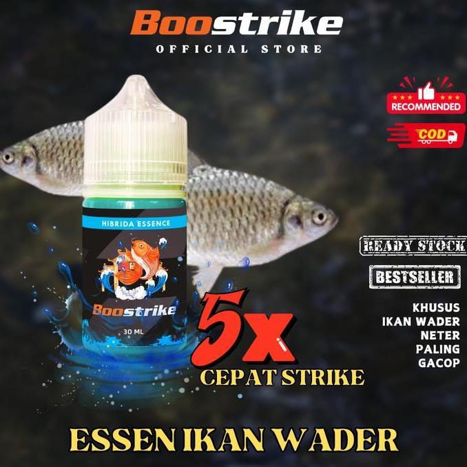 BOOSTRIKE - Essen Ikan Wader Neter Parah Paling Gacor Untuk Ikan Wader, Nilem & Tawes Dijamin Ampuh 