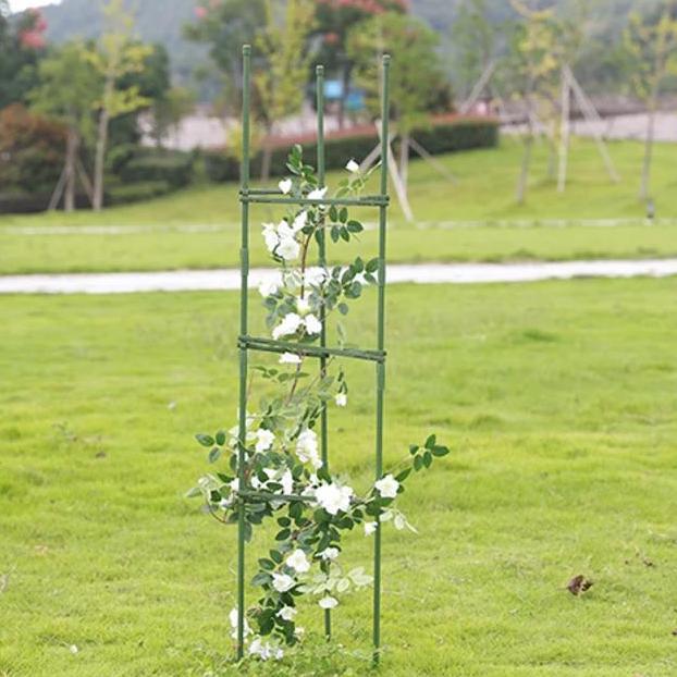 penyangga tanaman / rambatan tanaman anggur