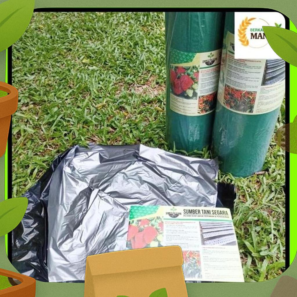 Plastik Mulsa Hitam Perak Panjang 500 Meter Lebar 120 Cm Tanaman Sayur