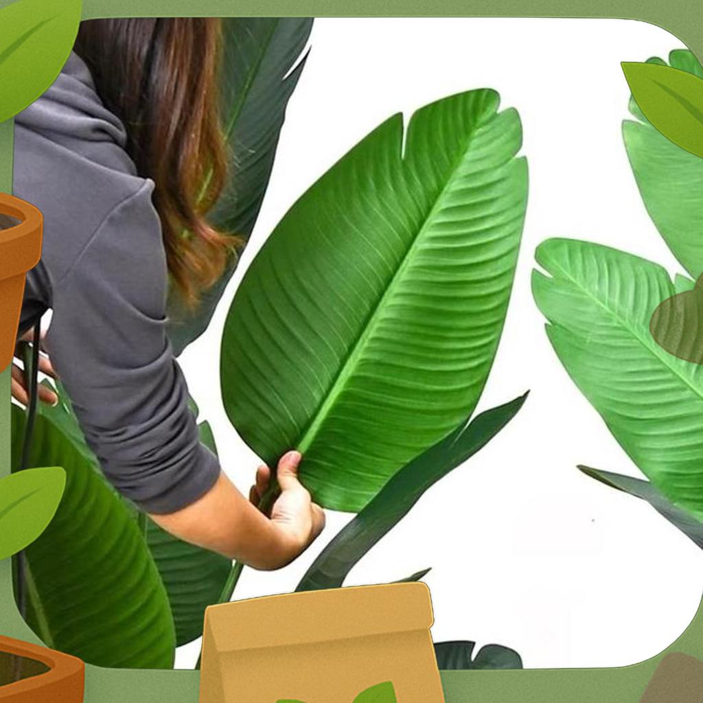 Daun Pisang Artificial Daun Pisang Jumbo Bunga Pelastik Tidak Termasuk Vas Plastik