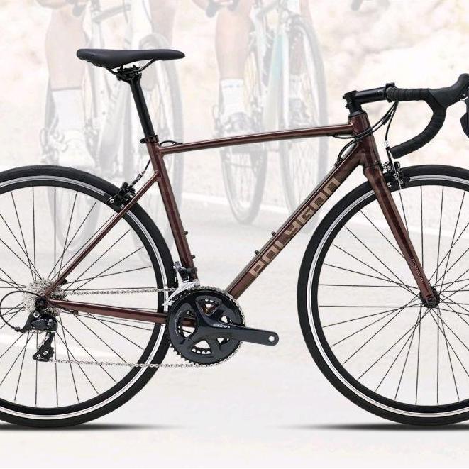 Promo Sepeda Balap Roadbike Polygon Strattos S3 Diskon