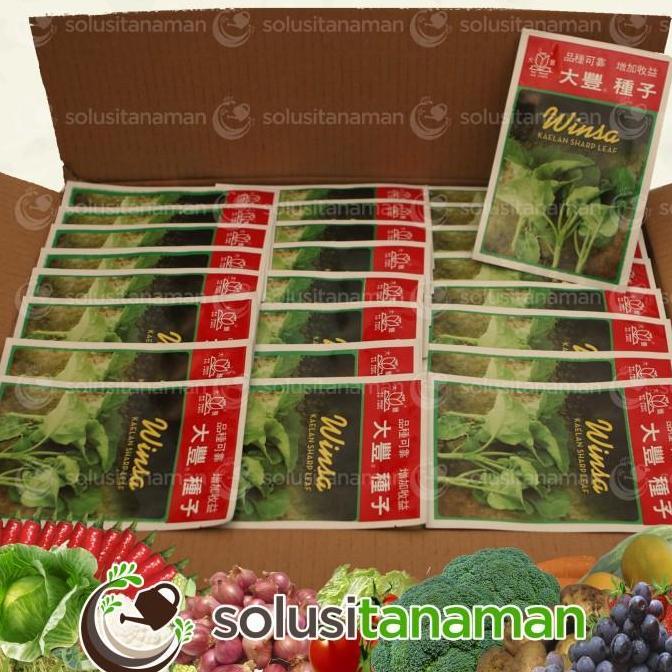 New- Benih Sayuran Kailan Kale @20gr - Biji Bibit Sayur Tanaman Hidroponik