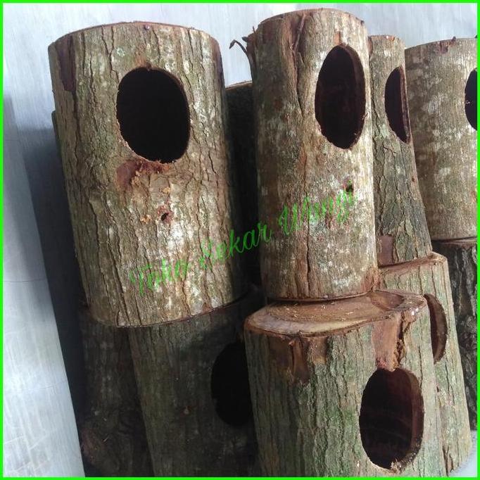 SIAPKIRIM glodok ng kayu mahoni sarang burung murai batu READY STOCK