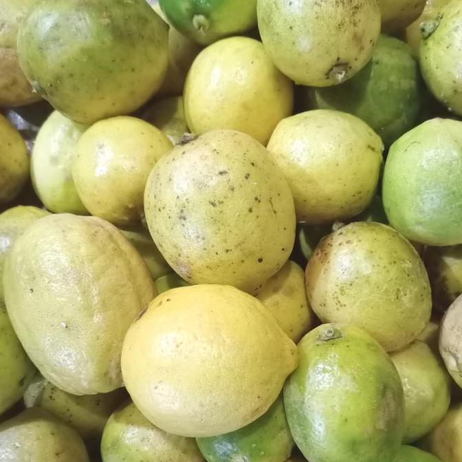 Fruxi- Jeruk Lemon Lokal Super Segar 1Kg