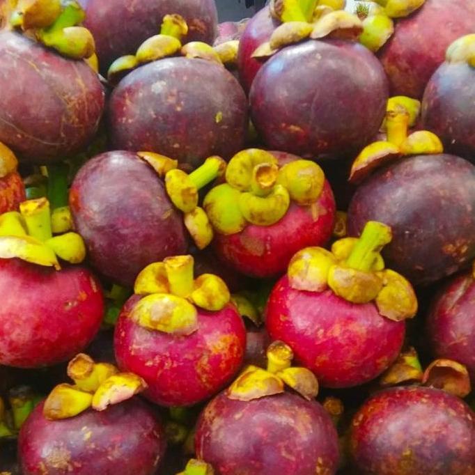 Fruxi- Buah Manggis Padang Manis Fresh Mangosteen