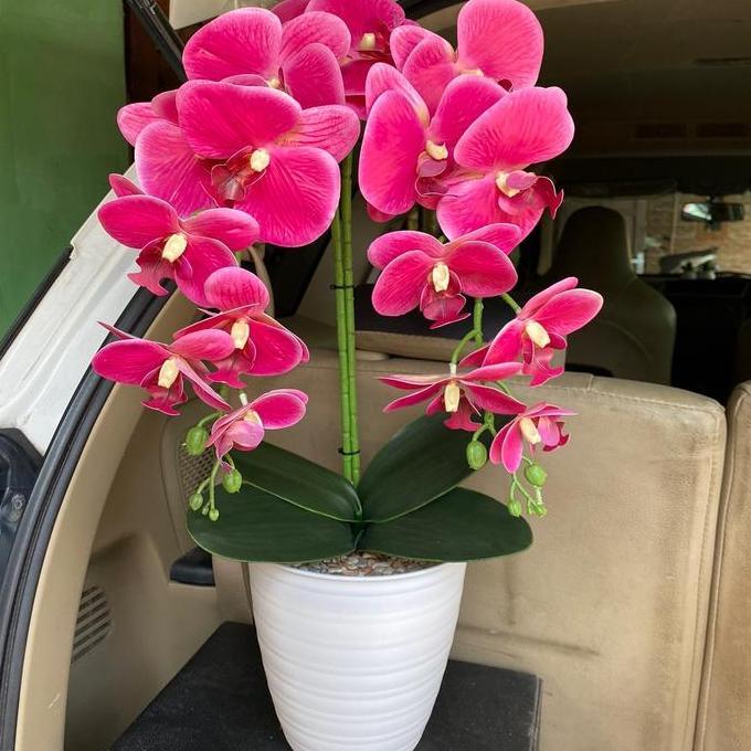 Dkrs- Cod Anggrek Latek Jumbo 167K Latex Plastik Pot Tanaman