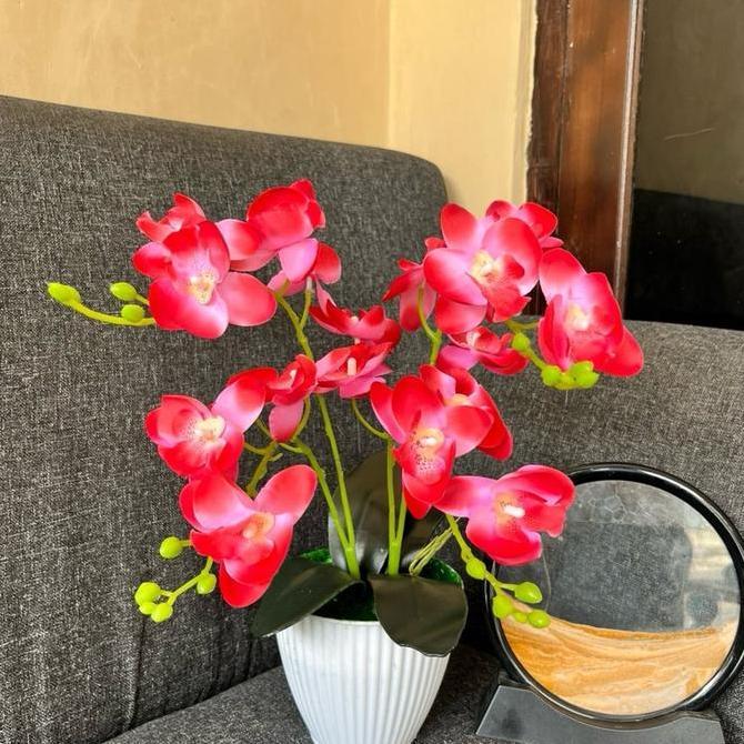 Dkrs- Bunga Hias Anggrek Kain 4 Cabang Vas Kerang Dekorasi Pot Plastik Diameter 13 Cm Tinggi 25-30 C