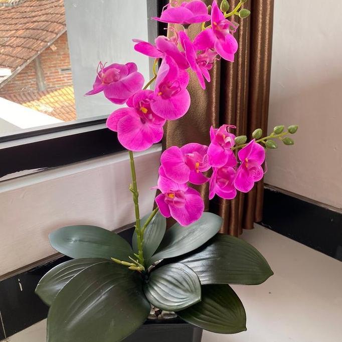 Dkrs- Bunga Anggrek Latek Film 2 Cabang Vas Kotak Hitam Plastik Good Quality 10 Helai Daun Bahan Lat