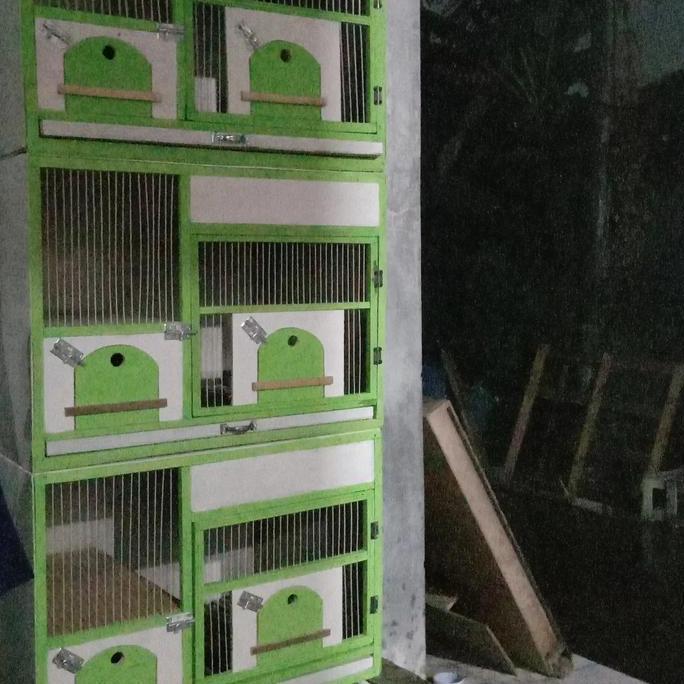 PROMO - kandang macan merpati