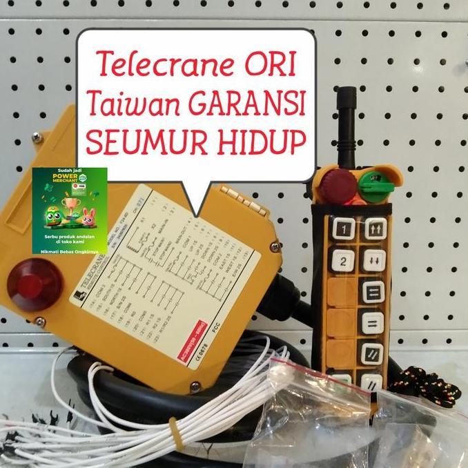 Remote Wireless 8 Point Double Speed For Hoist Crane, Telecrane F24-8D