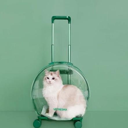 Tas Transparan Kucing Anjing Trolley Cargo Travel Bag Cat Dog Koper