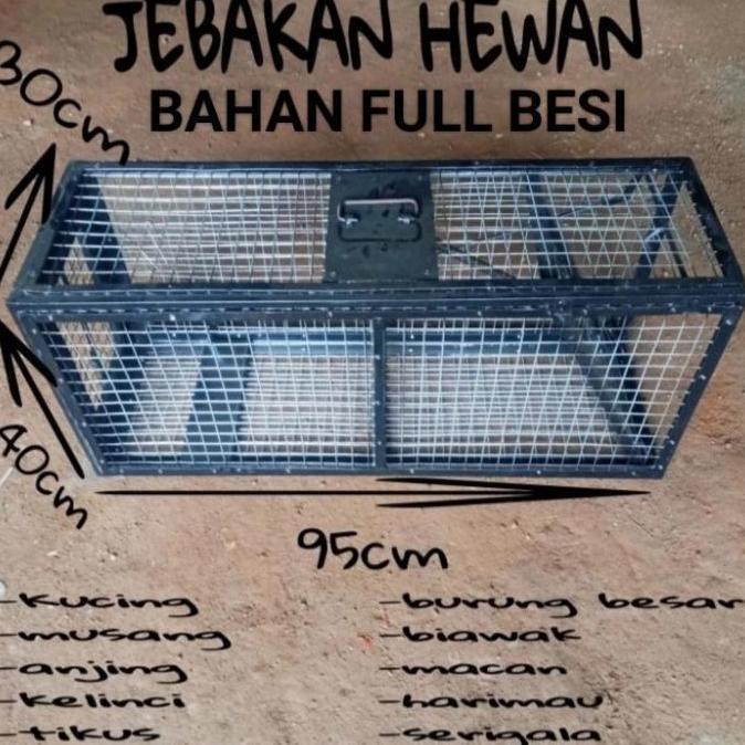 terbaru Jebakan tikus massal & jebakan musang -jebakan hewan ukuran besar