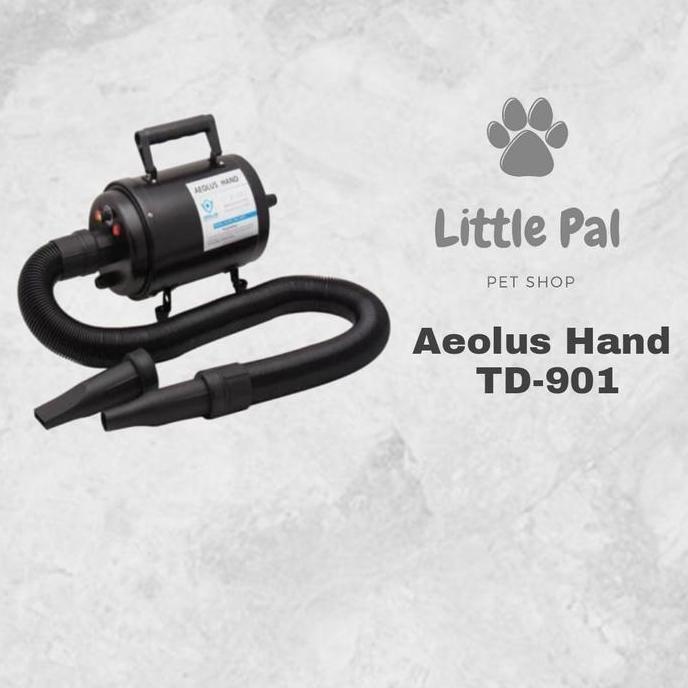 Aeolus Hand TD-901