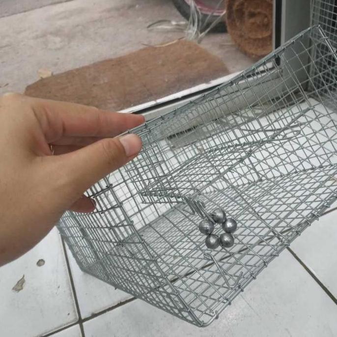 Jebakan Tikus Senteg Perangkap Tikus Jebakan Tikus Massal Besi Besar