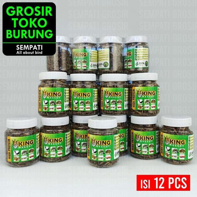 SEMPATI GROSIR MAGOT KERING KING MAGGOT SEMPATI 12 PCS BSF SUPER MAGOT MAGGOT KERING DRY FRESH MAGOT