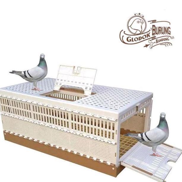HARGA DISC - Dongdang merpati pos kurungan kotak bawa burung 3 pintu kandang lipat