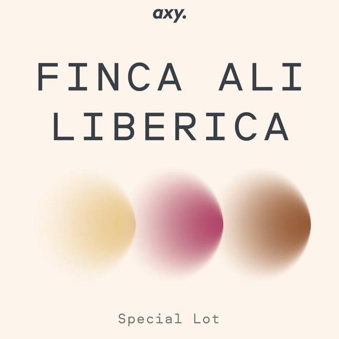Ready SEMENDO FINCA ALI LIBERICA HSN - BIJI KOPI ARABIKA
