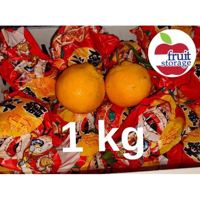 NEW JERUK DEKOPON / CHUNJIAN / PAPAGAN JERUK MANDARIN BEST