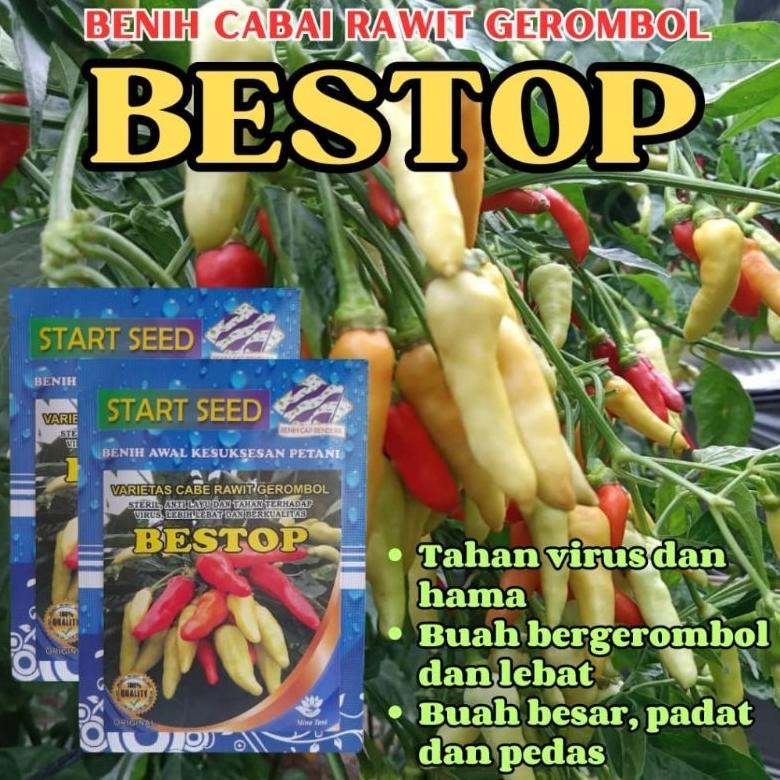 Bibit Cabe Rawit Unggul BESTOP Bibit Cabe Kaliber Unggul Tahan Virus Benih Cabe Rawit Unggul Bibit C