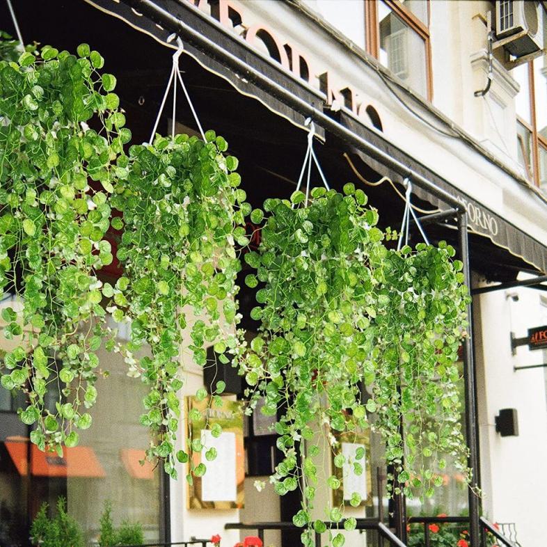 Bisa Cod Ya Kak Tanaman Pakis Gantung Buatan Tanaman Ivy Palsu Boston Fern Tanaman Gantung Luar Ruan