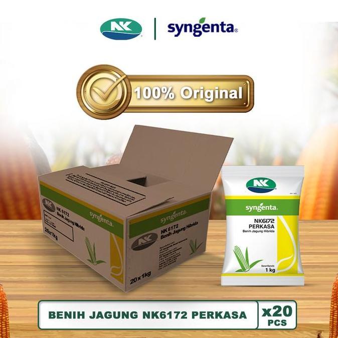 TERBARU Benih Jagung NK 6172 | NK PERKASA - 20Kg PROMO