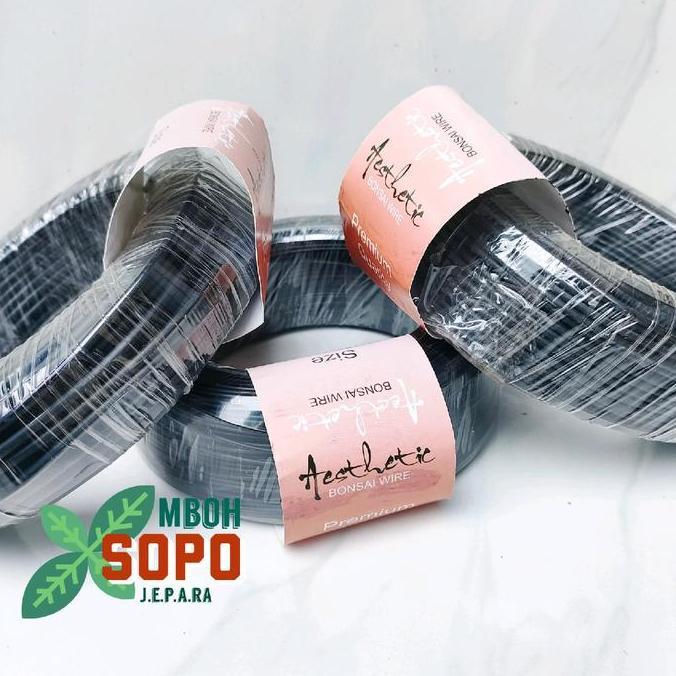 Gaerdenpic- Alat Bonsai, 1 Kg Kawat Bonsai Hitam Import, Merk Aesthetic