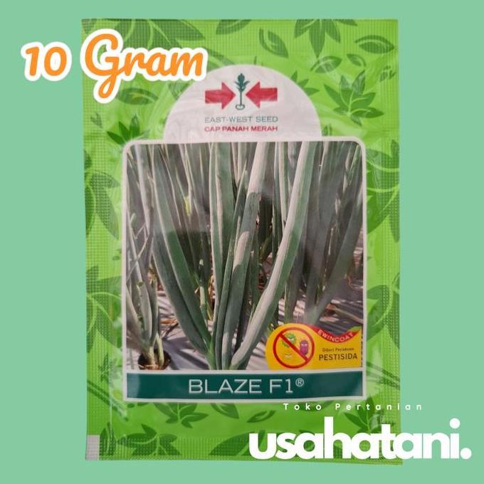 Gaerdenpic- Benih Daun Bawang Blaze 10Gr