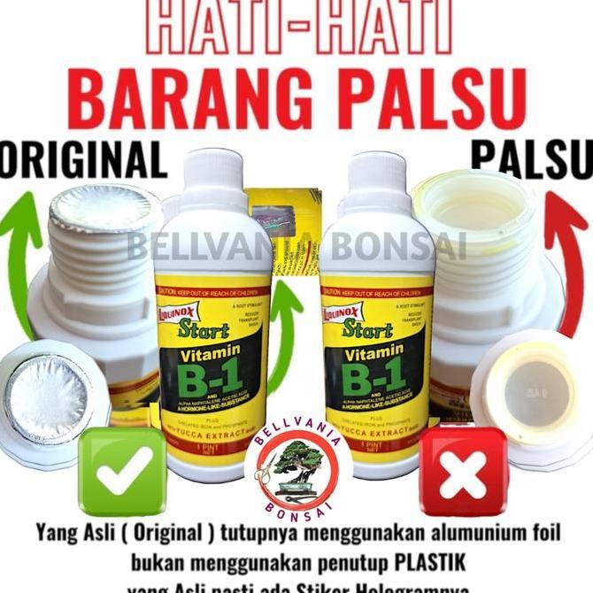 ORIGINAL LIQUINOX VITAMIN B1 500ML HORMON PUPUK CAIR ZPT DIJAMIN ASLI