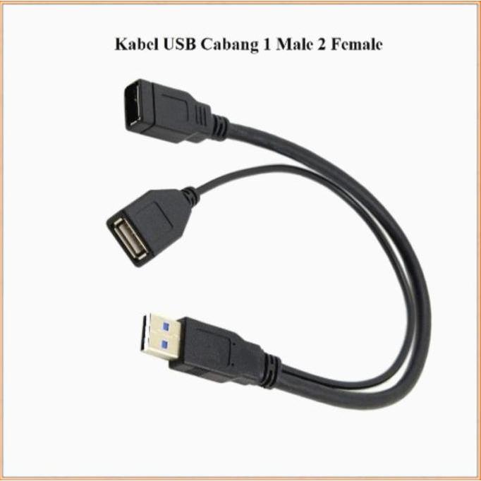 Daptorti- Kabel Usb Cabang 1 Male To 2 Female Panjang 40Cm