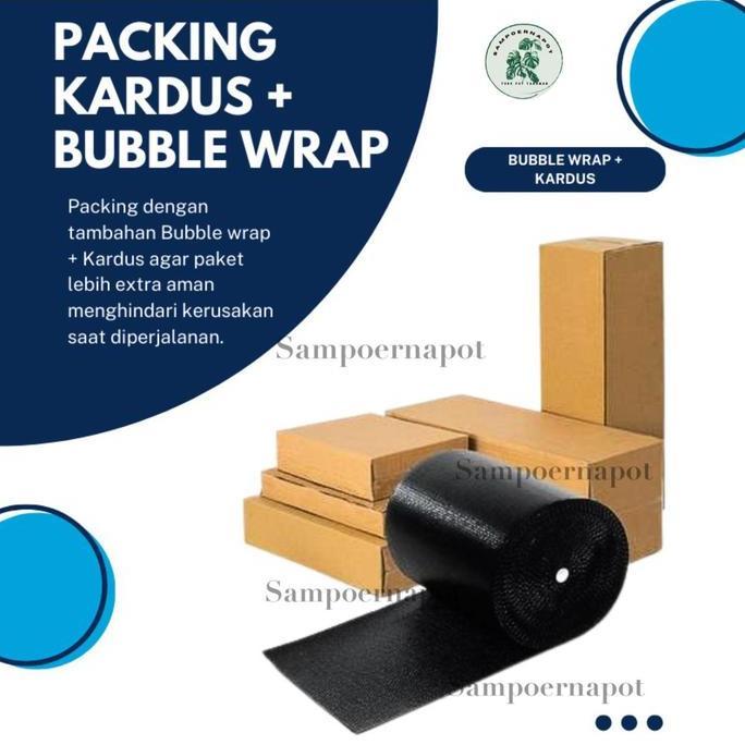 benih bibit tomat tymoti F1 cap panah merah - TOMAT TYMOTI F1