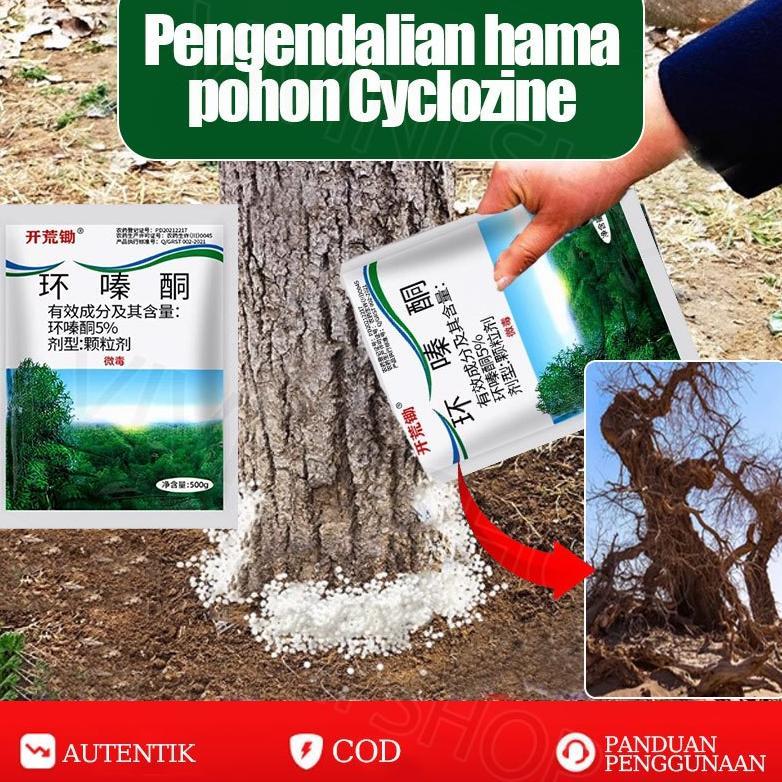 Racun Pembunuh Pohon Besar Hidup Racun Pohon Besar Paling Ampuh Tree Killer Racun Pohon + Akar Racun