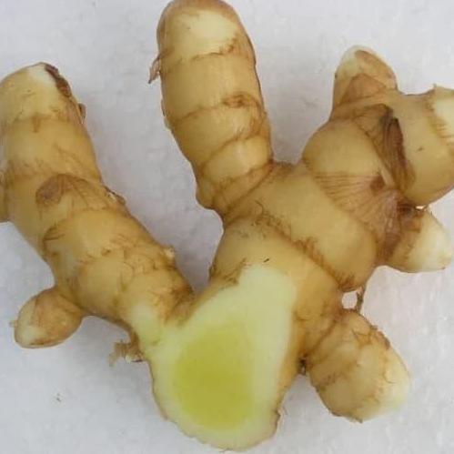 Veganxi- Temu Mangga / Kunir Putih / Curcuma Mangga