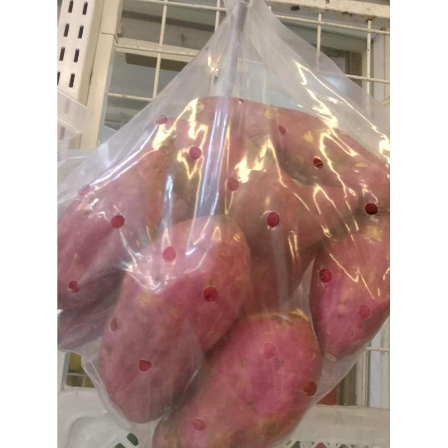 Veganxi- Ubi Jepang Japanese Sweet Potatoes Satsumaimo Bonavista