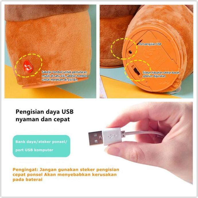 Mainan Kaktus Goyang Gerak Joget Bisa Ngomong Bicara Rekam Dancing