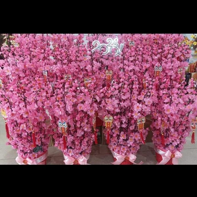 Pohon meihua imlek sakura