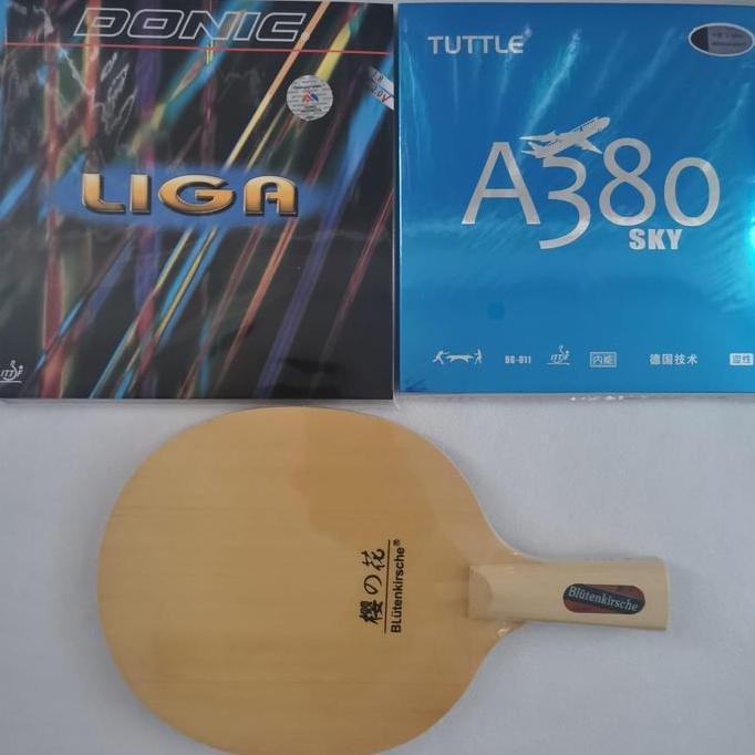 Bat tenis meja pen holder B 2015 Full Hinoki plus karet serang Set