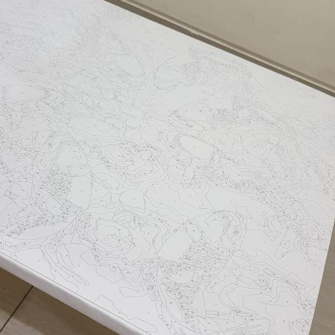 METH PORTRAIT PAINT BY NUMBER PAINTING BY NUMBERS DIY LUKISAN ACRILYC PARIS ALAM ART SET KOI POHON