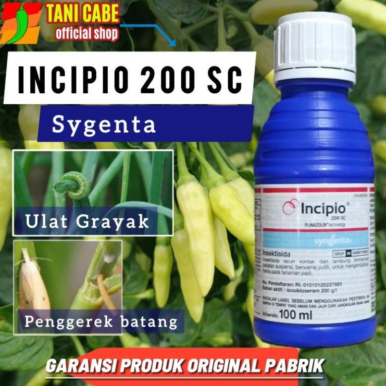 Insektisida Incipio 100 Ml Untuk Tanaman Padi