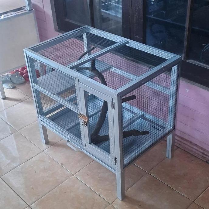 kandang iguana minimalis