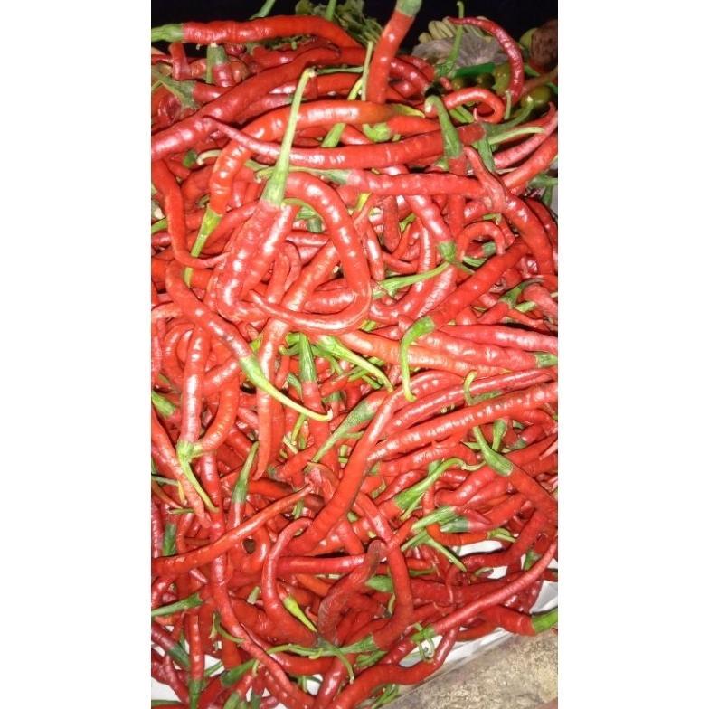 cabe keriting merah 1kg,