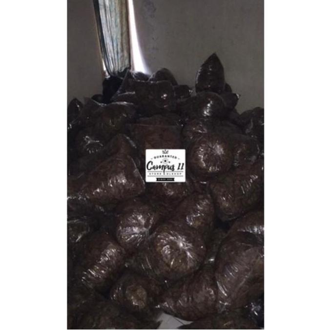 Daun ketapang 1 KG laut siap pakai + Ekstra daun ketapang 150Ml