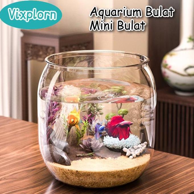 jazari.helmi - vixplorn aquarium bulat mini bulat aesthetic aquarium tank c mini vas aquarium bulat 