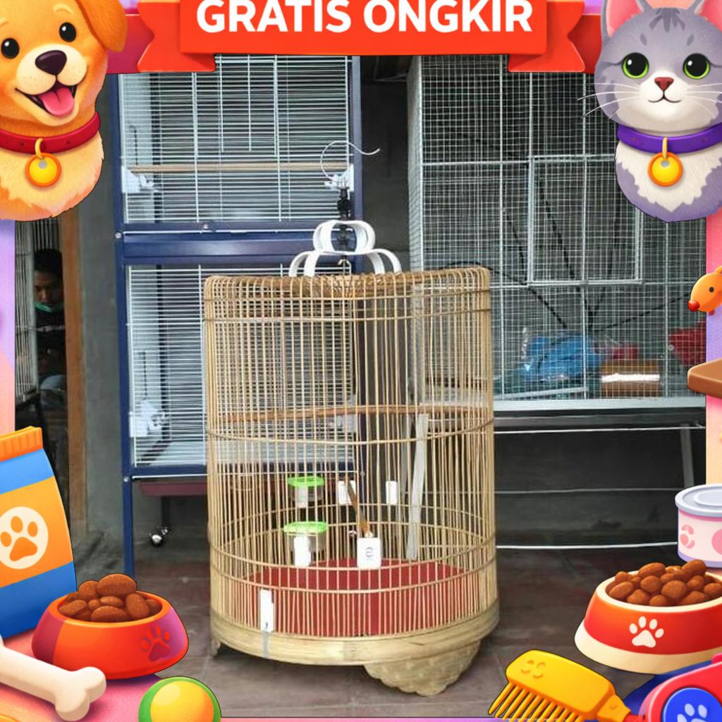 Kandang Burung Murai Mentahan No 3 Tangkringan 2 Tempat Makan Minum