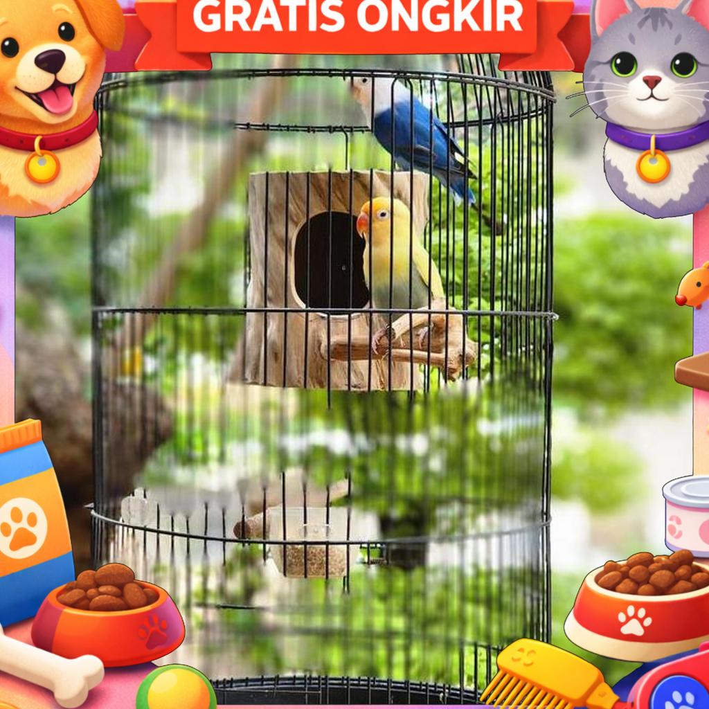 Glodok Finch Parkit Glodok Burung Kecil