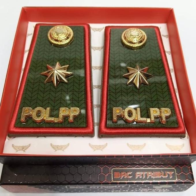 Pangkat POL PP Golongan 4C